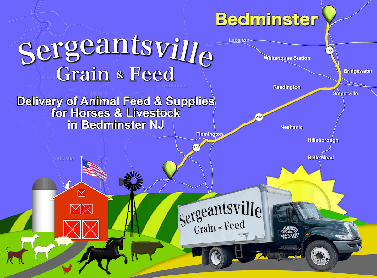 Graphic showing a barn and farm animals with a map of our route to Bedminster. The graphic is overlayed by text that reads: Sergeantsville Grain & Feed, Delivery of Animal Feed and Supplies for Horses and Livestock in Bedminster New Jersey