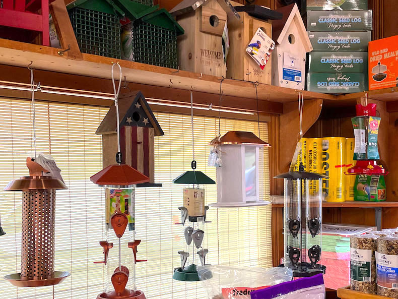 Bird supplies at our store