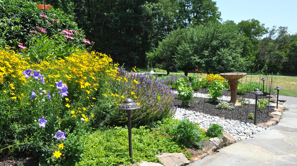 Beautiful garden in Flemington NJ