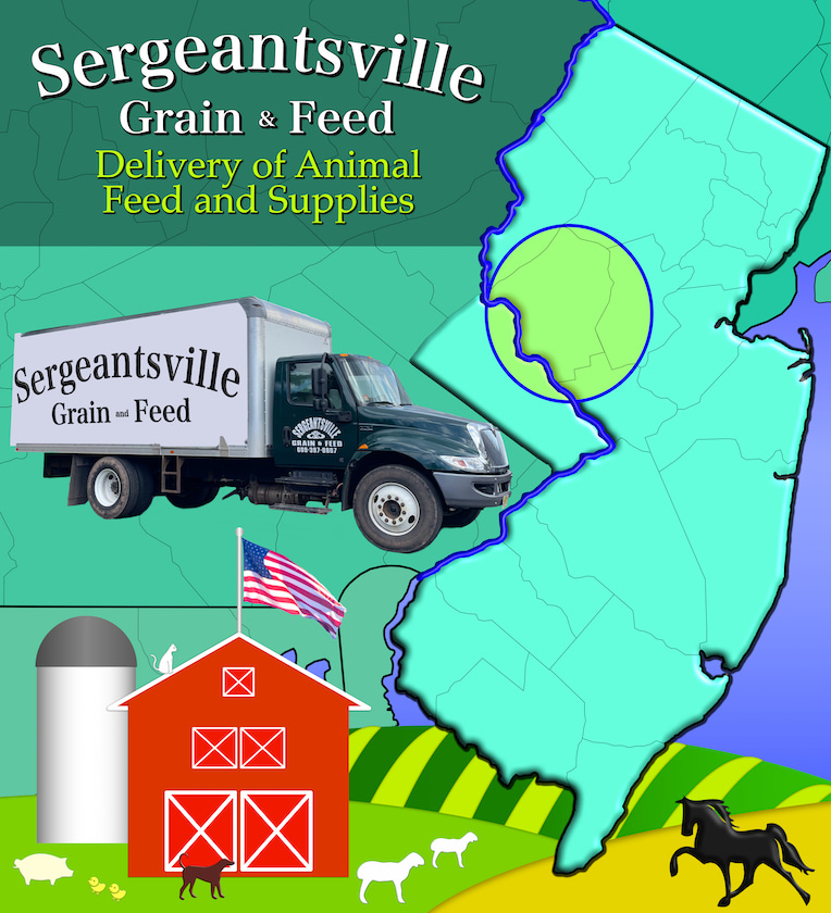 Graphic showing farm animals, a delivery truck, and a map highlighting parts of Hunterdon, Mercer, Somerset, and Bucks Counties; with text that reads “Sergeantsville Grain & Feed, Delivery of Animal Feed and Supplies”.
