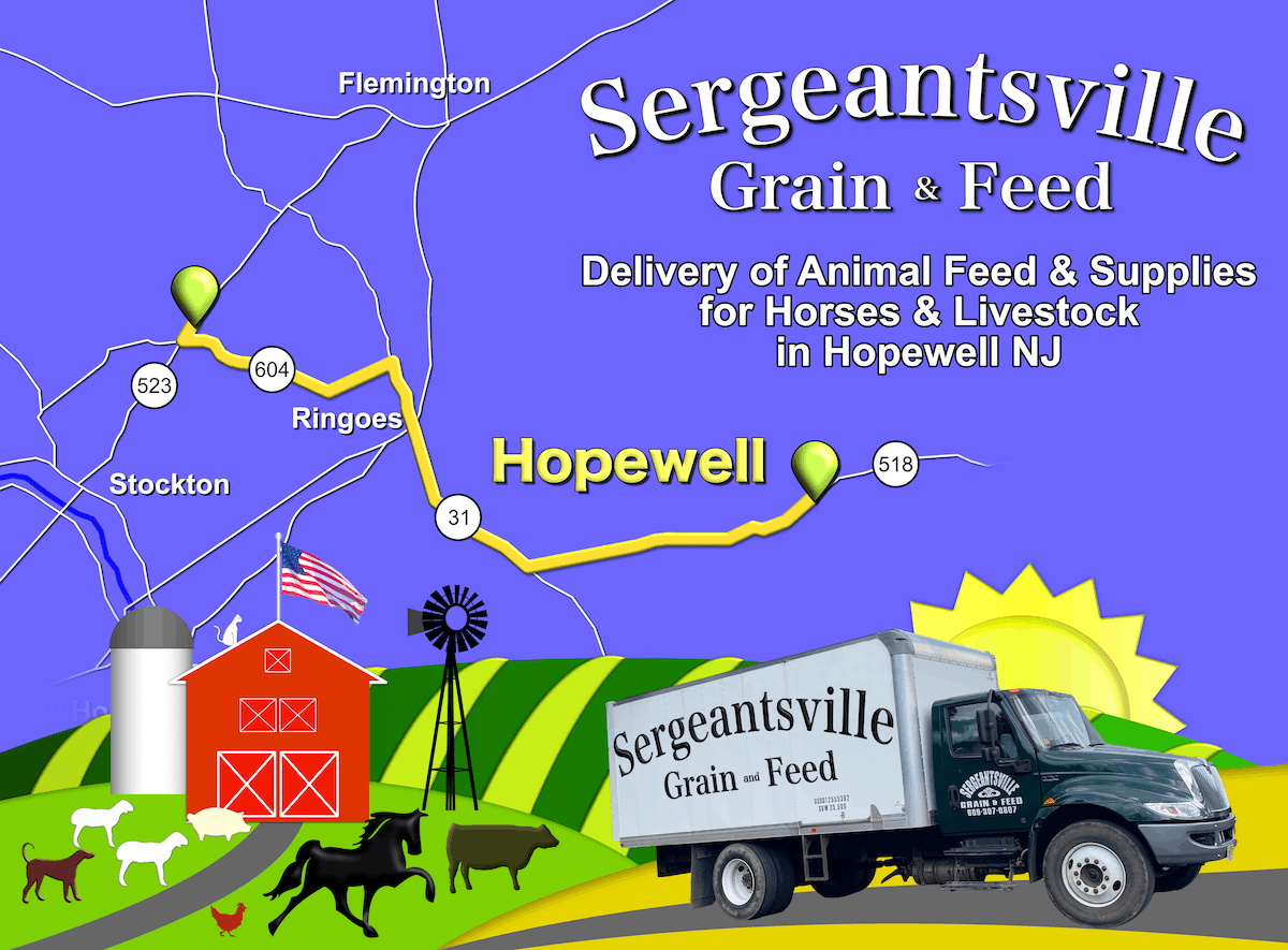Graphic showing a barn and farm animals with a map of our route to Hopewell. The graphic is overlayed by text that reads: Sergeantsville Grain & Feed, Delivery of Animal Feed and Supplies for Horses and Livestock in Hopewell New Jersey