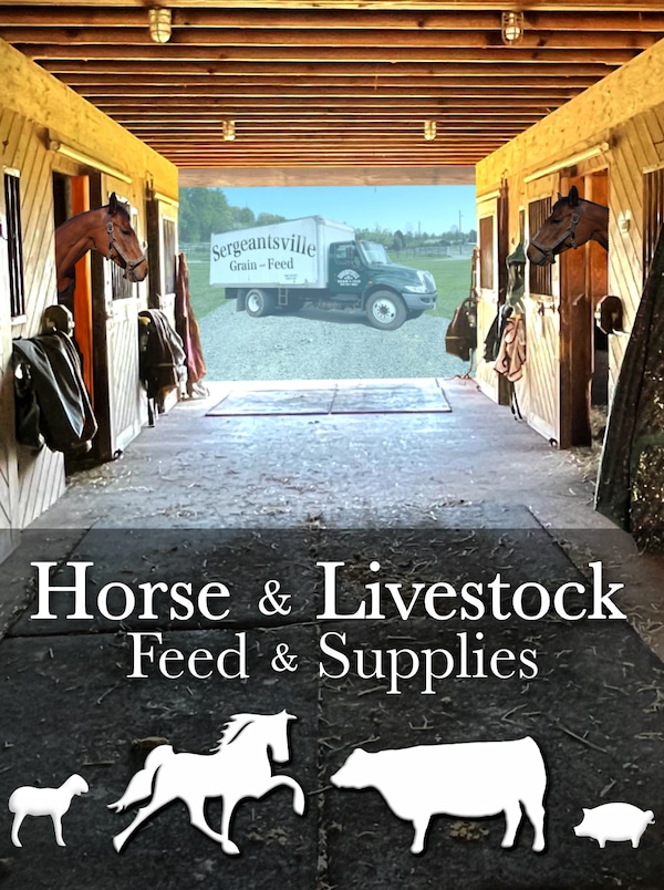Horses in a stable with our animal feed delivery truck behind the barn door and text that reads: Horse & Livestock Feed & Supplies